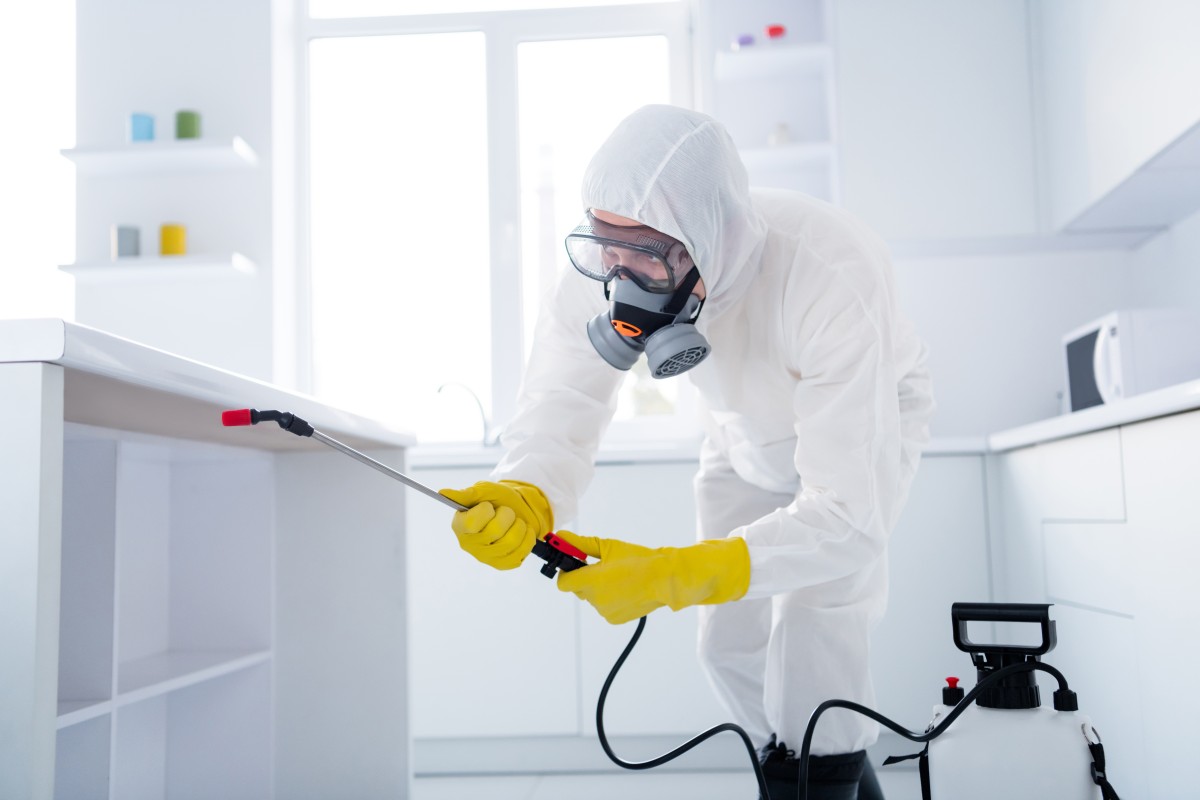 Technicien certibiocide en intervention professionnelle